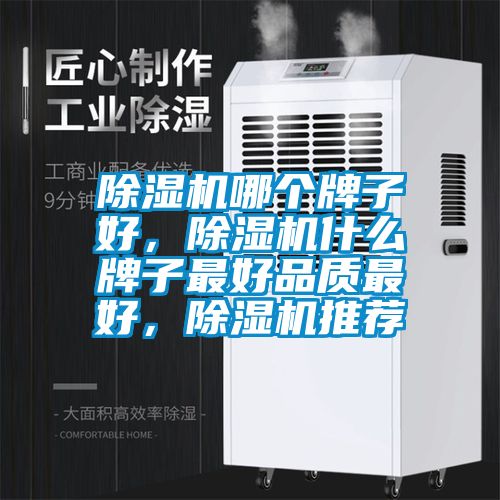 除湿机哪个牌子好，除湿机什么牌子最好品质最好，除湿机推荐