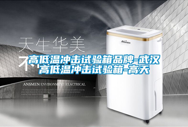 高低温冲击试验箱品牌-武汉高低温冲击试验箱-高天