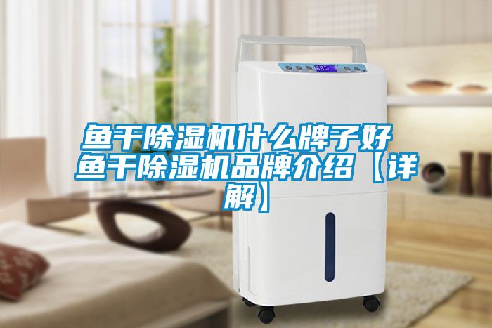 鱼干除湿机什么牌子好 鱼干除湿机品牌介绍【详解】