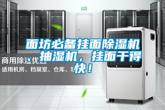 面坊必备挂面除湿机、抽湿机，挂面干得快！