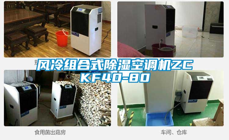 风冷组合式除湿空调机ZCKF40-80