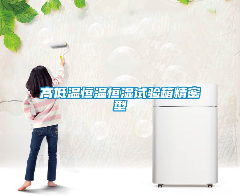 高低温恒温恒湿试验箱精密型