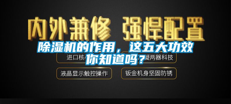 除湿机的作用，这五大功效你知道吗？