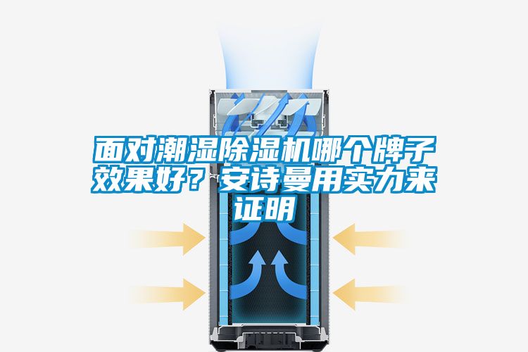 面对潮湿除湿机哪个牌子效果好？安诗曼用实力来证明