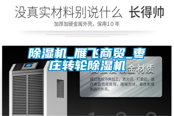 除湿机_雁飞商贸_枣庄转轮除湿机