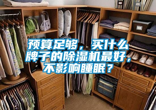 预算足够，买什么牌子的除湿机最好，不影响睡眠？
