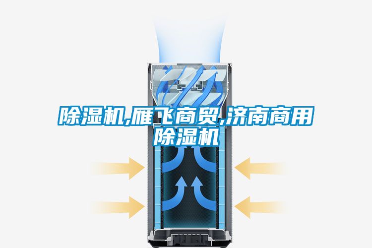 除湿机,雁飞商贸,济南商用除湿机