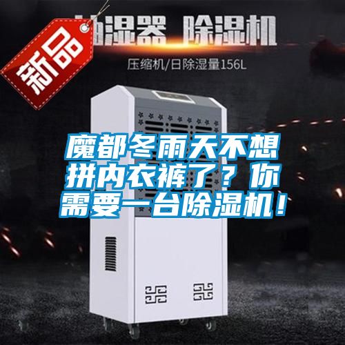 魔都冬雨天不想拼内衣裤了？你需要一台除湿机！