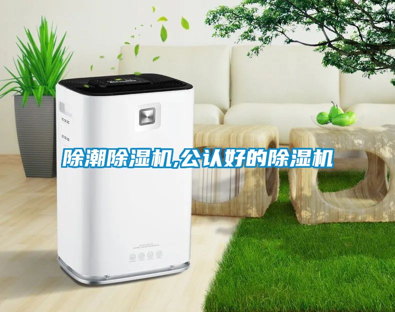 除潮除湿机,公认好的除湿机