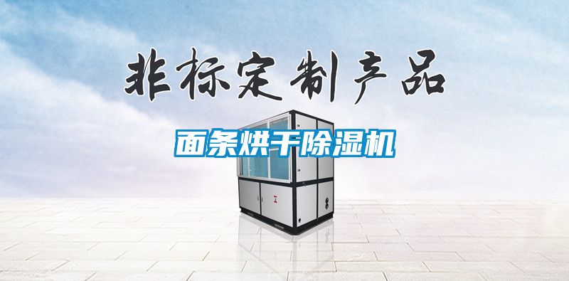 面条烘干除湿机