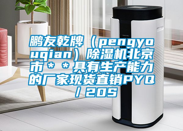鹏友乾牌（pengyouqian）除湿机北京市＊＊具有生产能力的厂家现货直销PYQ／20S