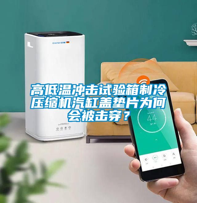 高低温冲击试验箱制冷压缩机汽缸盖垫片为何会被击穿？