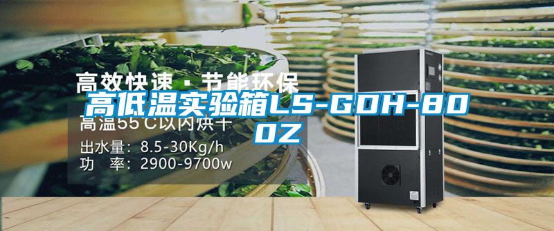 高低温实验箱LS-GDH-800Z