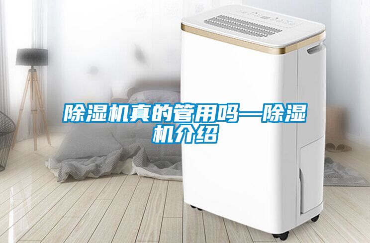 除湿机真的管用吗—除湿机介绍