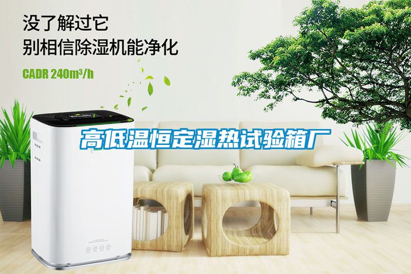 高低温恒定湿热试验箱厂