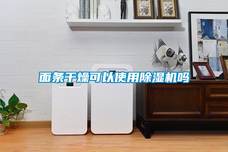面条干燥可以使用除湿机吗