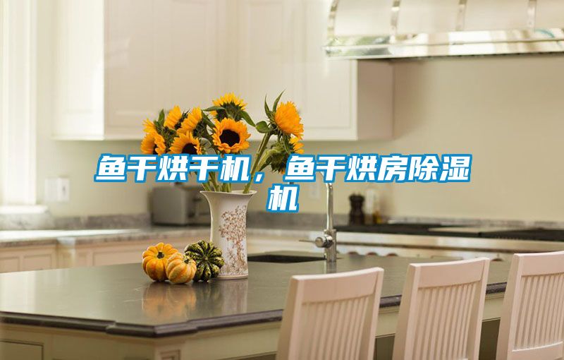 鱼干烘干机，鱼干烘房除湿机