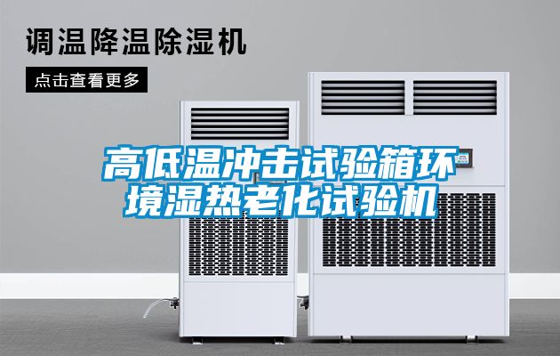 高低温冲击试验箱环境湿热老化试验机