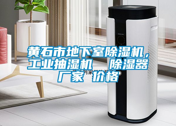 黄石市地下室除湿机，工业抽湿机  除湿器厂家 价格