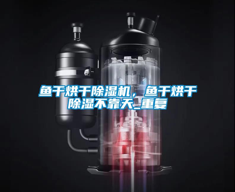 鱼干烘干除湿机，鱼干烘干除湿不靠天_重复