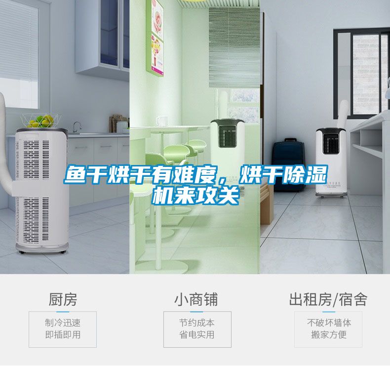 鱼干烘干有难度，烘干除湿机来攻关