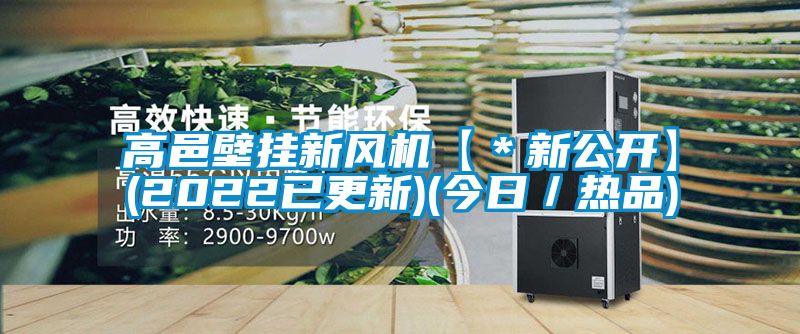 高邑壁挂新风机【＊新公开】(2022已更新)(今日／热品)