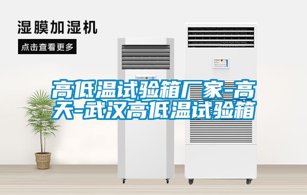 高低温试验箱厂家-高天-武汉高低温试验箱