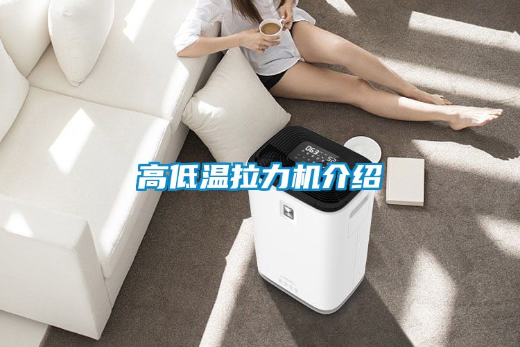 高低温拉力机介绍
