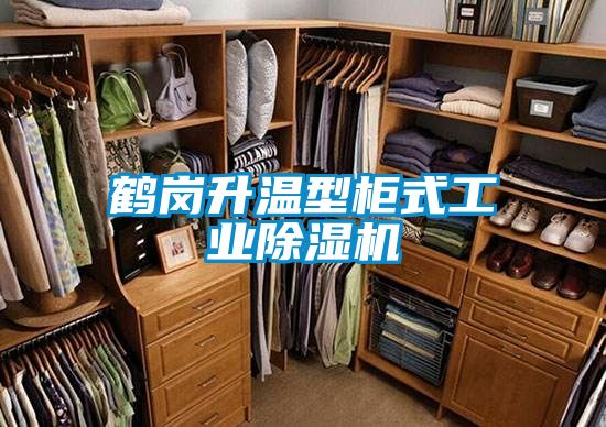 鹤岗升温型柜式工业除湿机