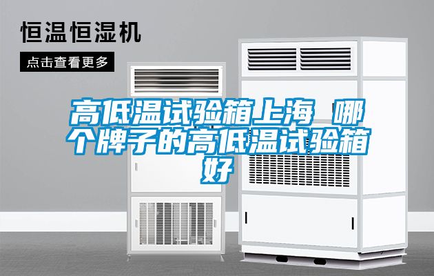 高低温试验箱上海 哪个牌子的高低温试验箱好