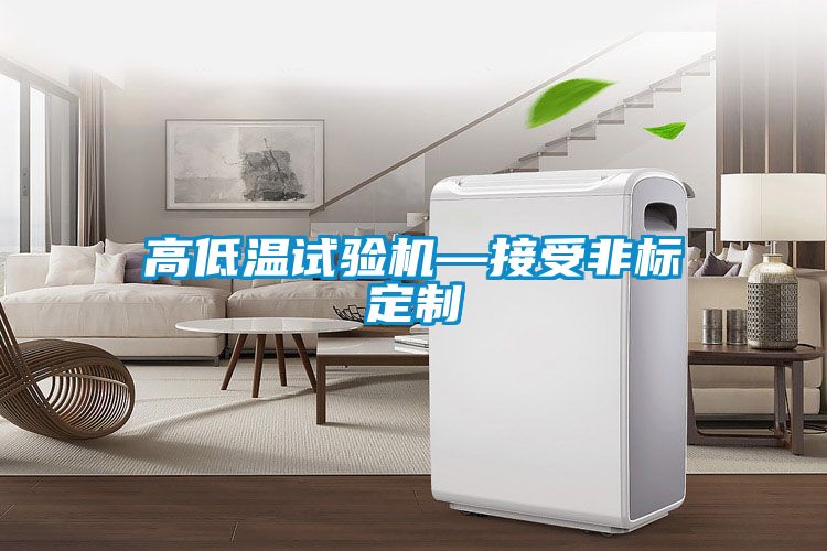 高低温试验机—接受非标定制