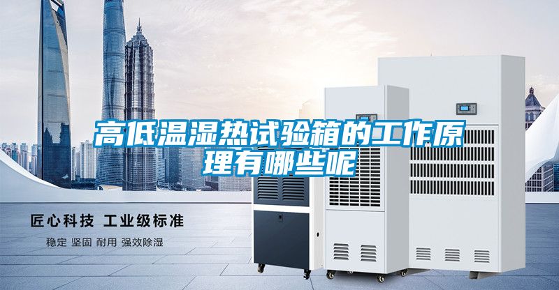 高低温湿热试验箱的工作原理有哪些呢