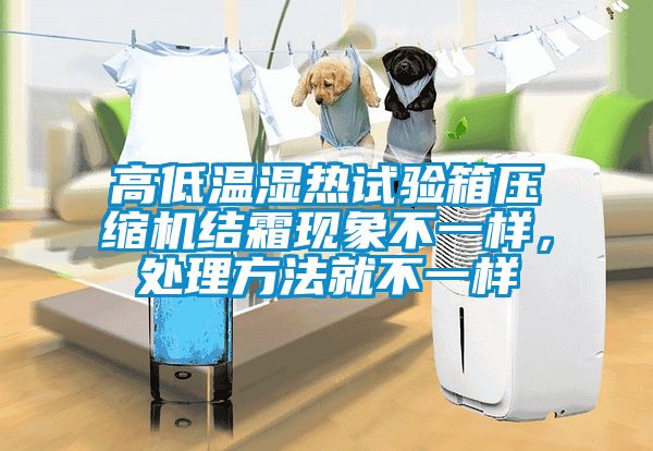 高低温湿热试验箱压缩机结霜现象不一样，处理方法就不一样