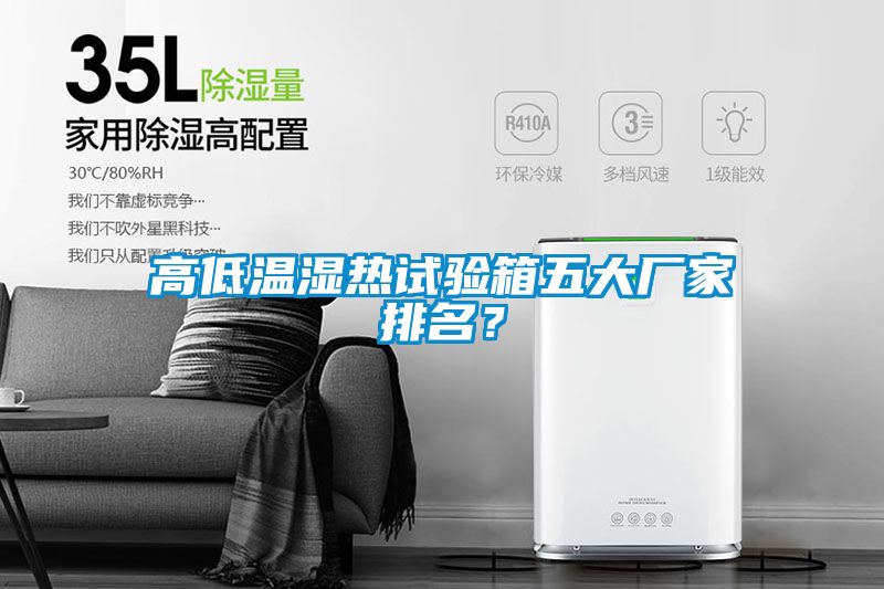高低温湿热试验箱五大厂家排名？