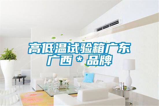 高低温试验箱广东广西＊品牌