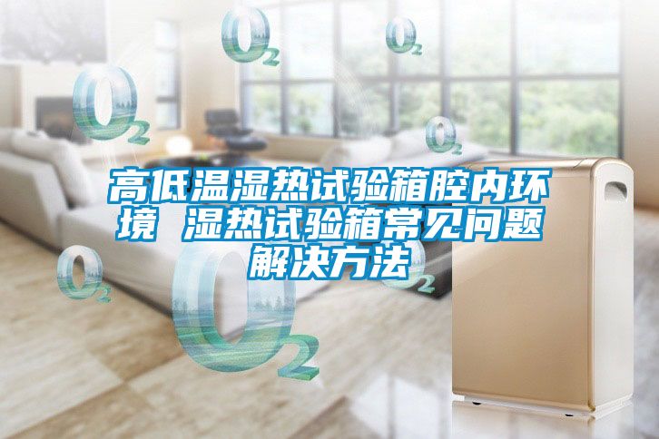 高低温湿热试验箱腔内环境 湿热试验箱常见问题解决方法