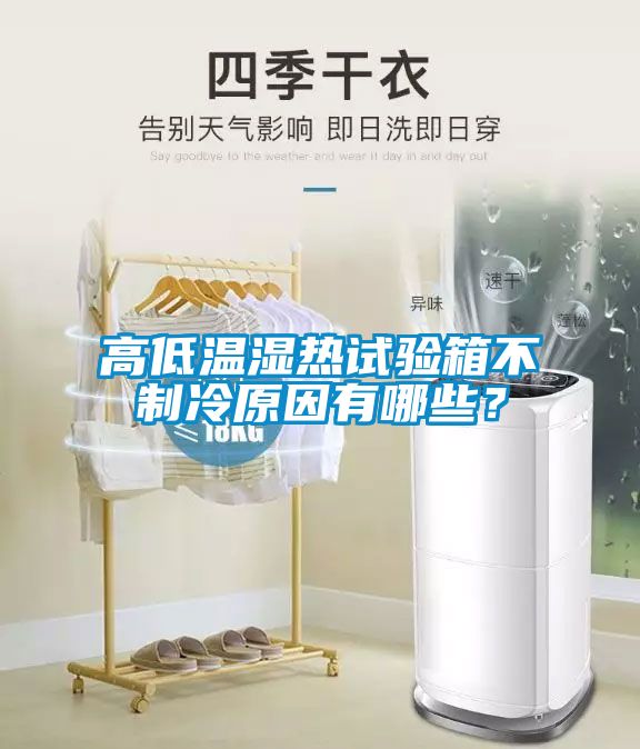 高低温湿热试验箱不制冷原因有哪些？