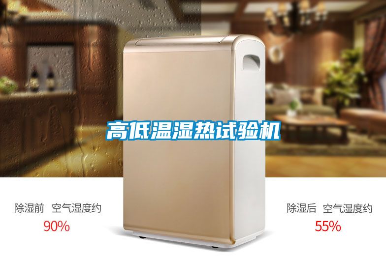 高低温湿热试验机