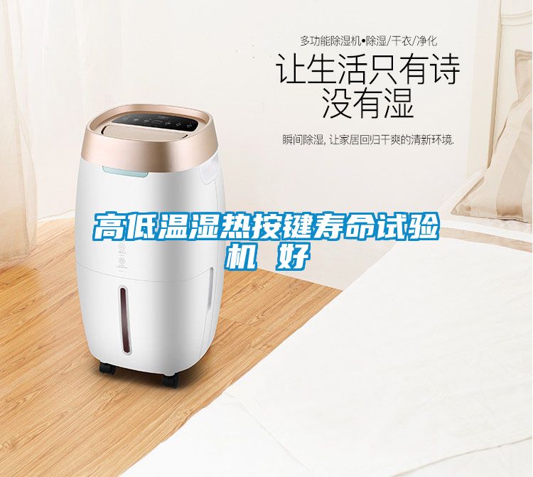 高低温湿热按键寿命试验机 好
