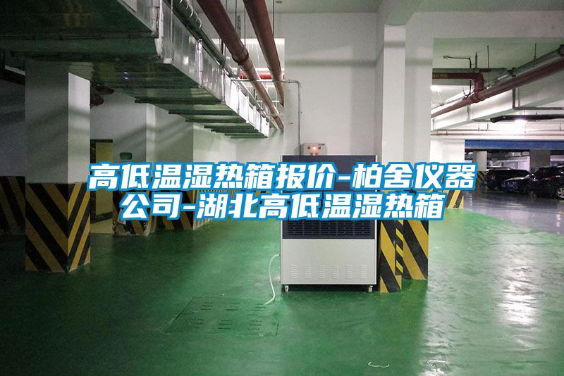 高低温湿热箱报价-柏舍仪器公司-湖北高低温湿热箱