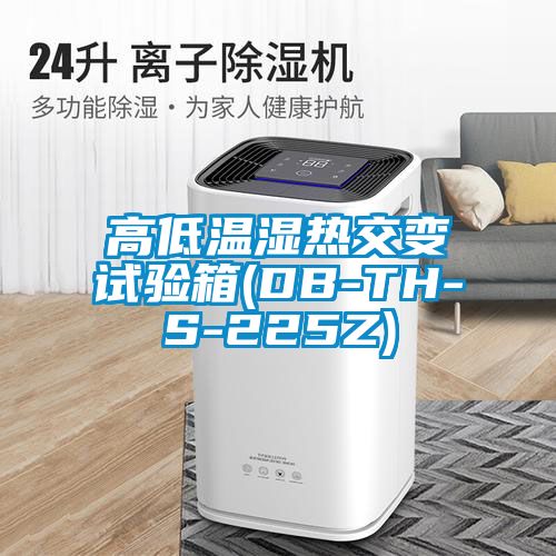 高低温湿热交变试验箱(DB-TH-S-225Z)