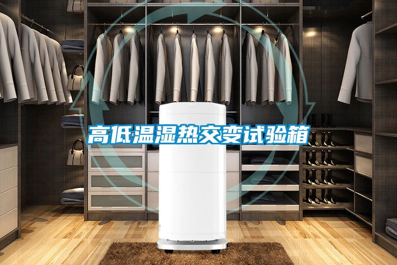 高低温湿热交变试验箱